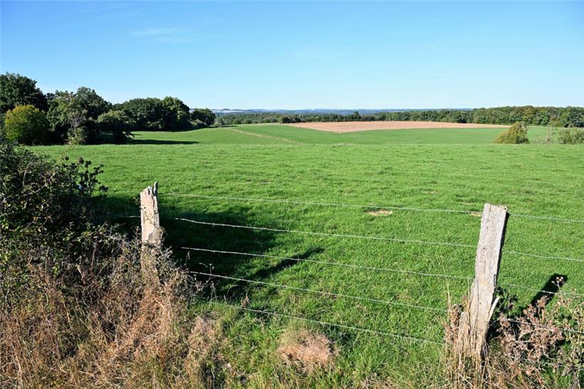 Der Alternativvorschlag der Gegner zur Errichtung des Bauernbetriebes. Bei Stark...