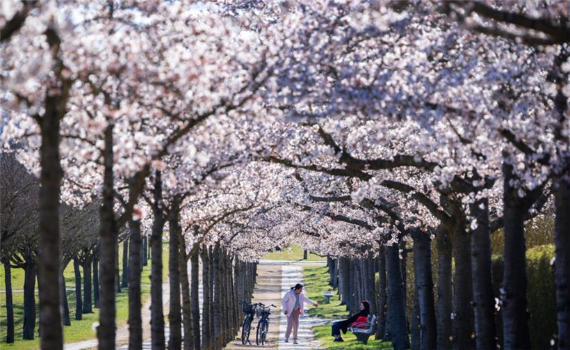 Der April konnte sich nicht entscheiden: Mal war es außergewöhnlich warm, mal fielen die Temperaturen unter den Gefrierpunkt
