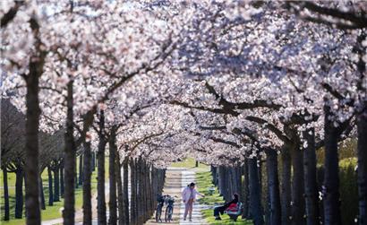 Der April konnte sich nicht entscheiden: Mal war es außergewöhnlich warm, mal fielen die Temperaturen unter den Gefrierpunkt
