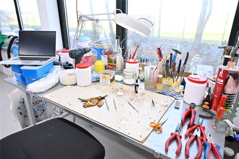 Der Arbeitsplatz von Guillaume Becker – inklusive Eisvogel und Tabakdose. Nein, die ist nicht zum Rauchen da.
