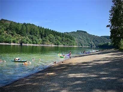 Der Badespaß am Stausee wird regelmäßig von Blaualgen gestört