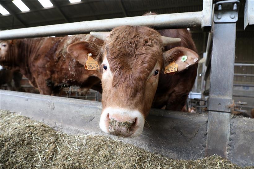 Der Bauernverband appelliert an die Bevölkerung, auf lokale Produkte zurückzugreifen
