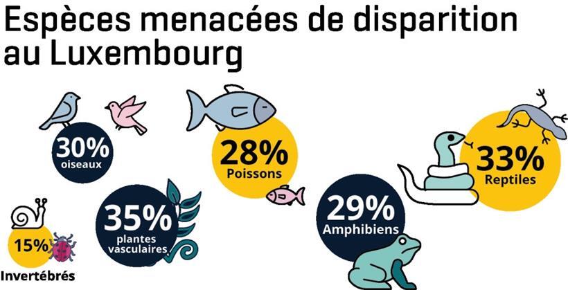 Der Bericht listet zahlreiche bedrohte Tier- und Pflanzenarten auf
