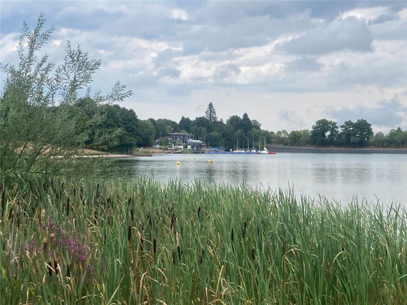 Der Blick vom Seegarten auf das Losheimer Strandbad mit den Wassersportangeboten: Der See ist 30 Hektar groß und hat damit ein Zwölftel der Fläche des Obersauerstausees 

