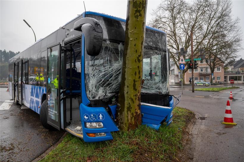 Der Bus ist frontal gegen einen Baum geprallt
