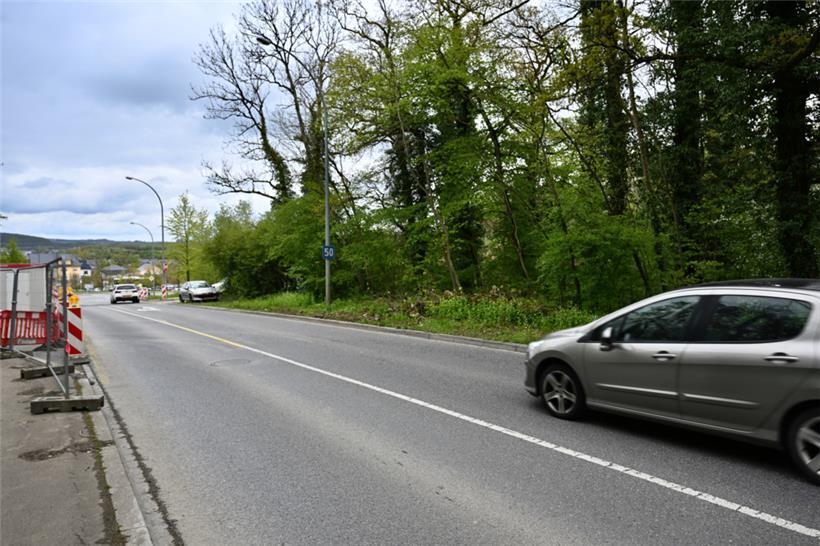 Der CR 110 in Richtung Bascharage