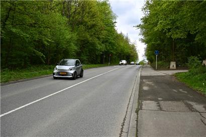 Der CR 110 mit den beiden Waldstücken rechts und links der Straße; eines ist Natura-2000-Zone, eines nicht 
