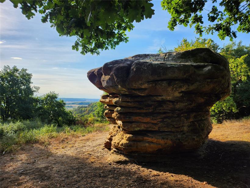Der Champignon verdankt seine Form den verschiedenen Eigenschaften einzelner Sandsteinschichten
