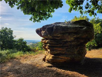 Der Champignon verdankt seine Form den verschiedenen Eigenschaften einzelner Sandsteinschichten
