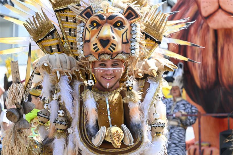 Der Dschungelkönig aus dem Wiltzer Regenwald