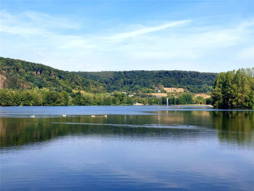 Der Echternacher See ist umgeben vom satten Grün der Bäume und Wälder
