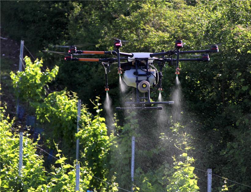 Der Einsatz der Drohne besticht in erster Linie durch das effiziente und punktgenaue Ausbringen der Sprühmittel
