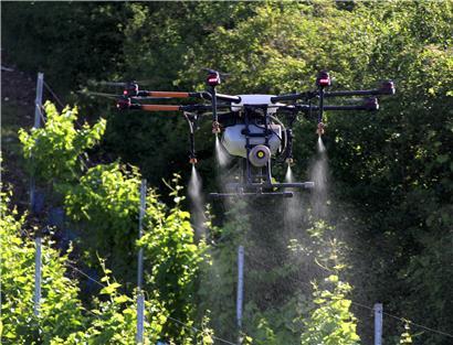 Der Einsatz der Drohne besticht in erster Linie durch das effiziente und punktgenaue Ausbringen der Sprühmittel
