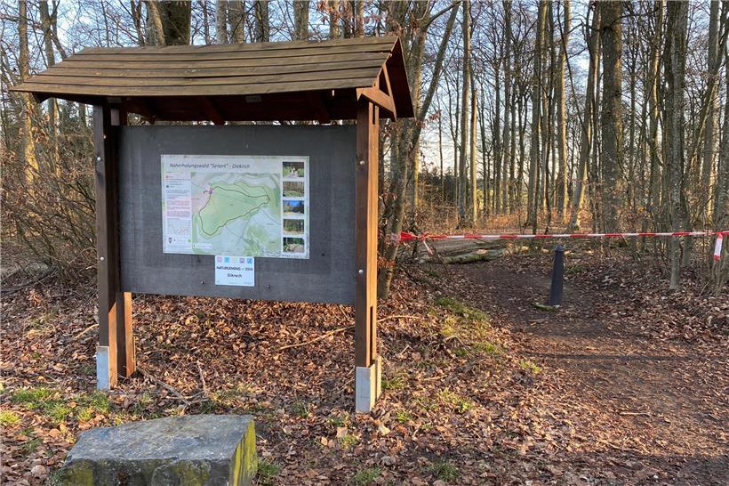 Der Forst „Seitert“ in Diekirch ist vor allem als Naherholungsgebiet bekannt, nun soll hier ebenfalls ein „Bëschkierfecht“ angelegt werden
