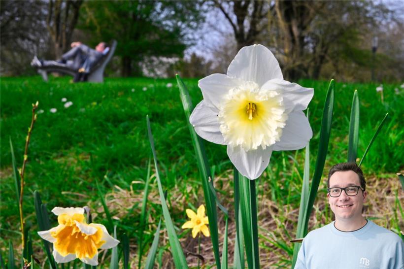 Der Frühling hat sich diese Woche von seiner besten Seite gezeigt
