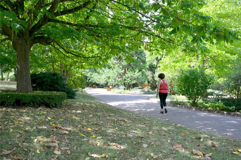 Der Gaalgebierg: eine Oase der Ruhe, fast mitten in Esch
