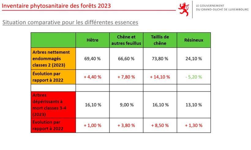 Der Gesundheitszustand je nach Baumart
