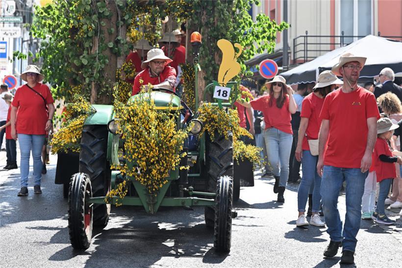 Der Ginsterexpress zuckelt durch die Hauptstraße