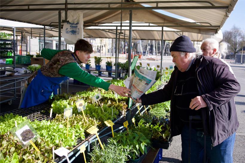 Der Glacismaart bietet eine große Auswahl an frischen, regionalen Produkten, direkt vom Erzeuger
