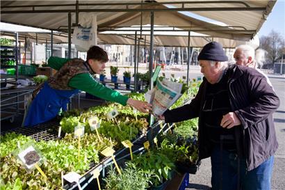 Der Glacismaart bietet eine große Auswahl an frischen, regionalen Produkten, direkt vom Erzeuger

