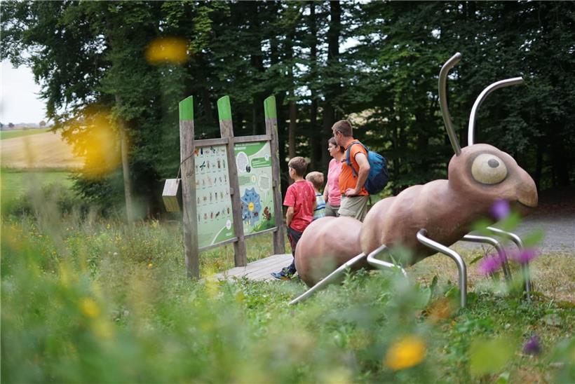 Insekten-Erlebnispfad in Hachiville mit Familien beim Entdecken von Natur und Insekten auf Wanderweg