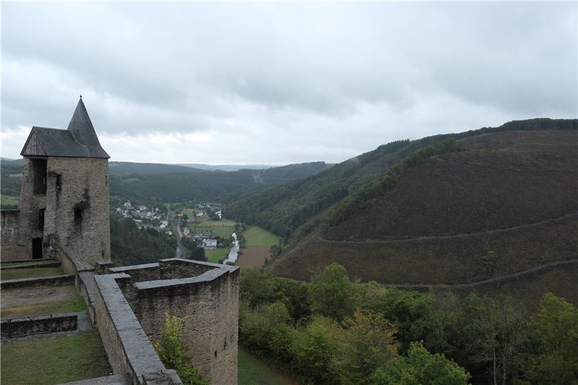 Der Kahlschlag „Rengelschleed“ gegenüber der Burg von Burscheid wird wieder aufgeforstet
