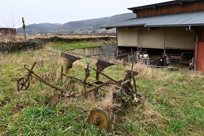 Der Kass-Haff erlangt im Erhebungsjahr 2020 83 Prozent bei der Leistungswert-Rec...