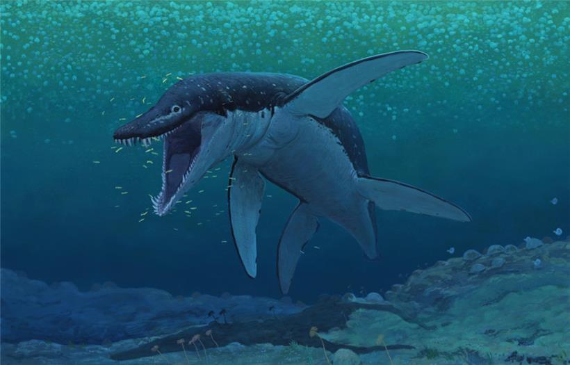 Der Lorrainosaurus lebte vor 170 Millionen Jahren
