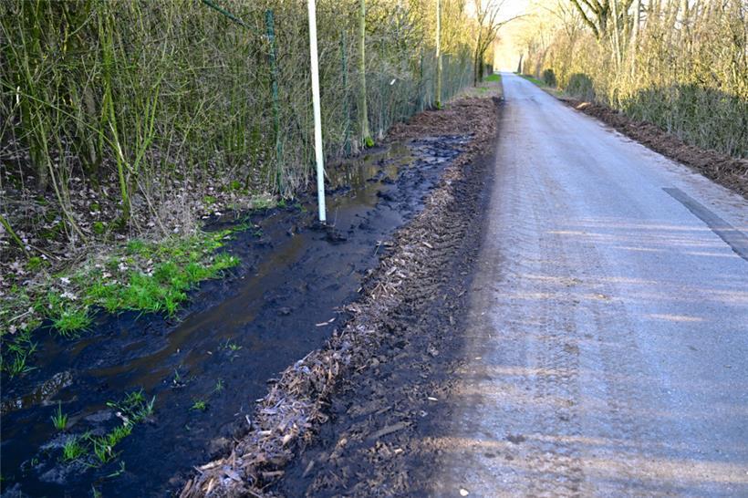 Der Name „Biomasse“ darf nicht darüber hinwegtäuschen, dass diese alles andere a...