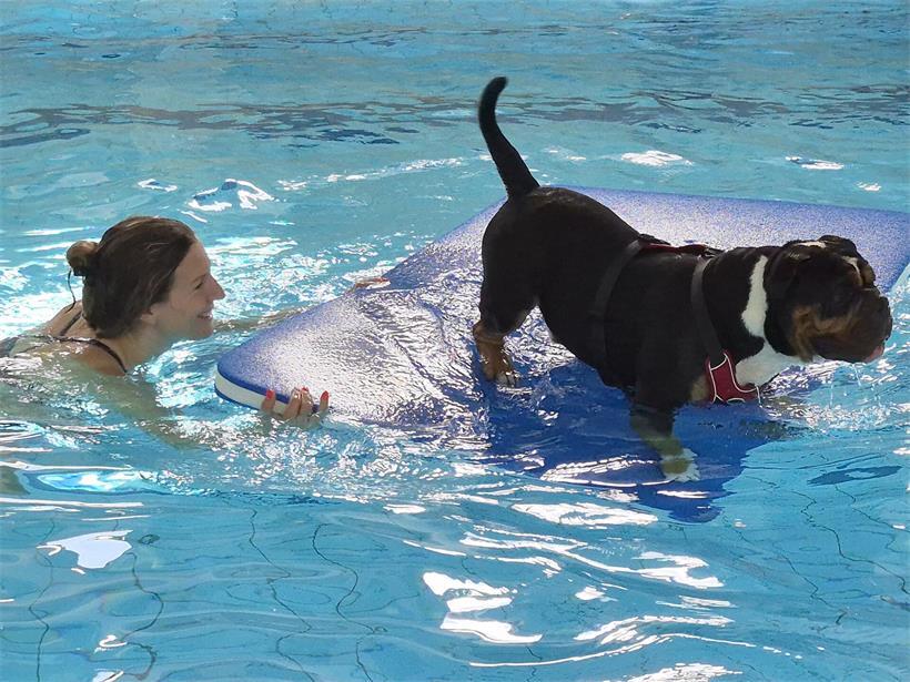 Der „Nordpool“ hat Matten und schwimmendes Hundespielzeug bereitgelegt