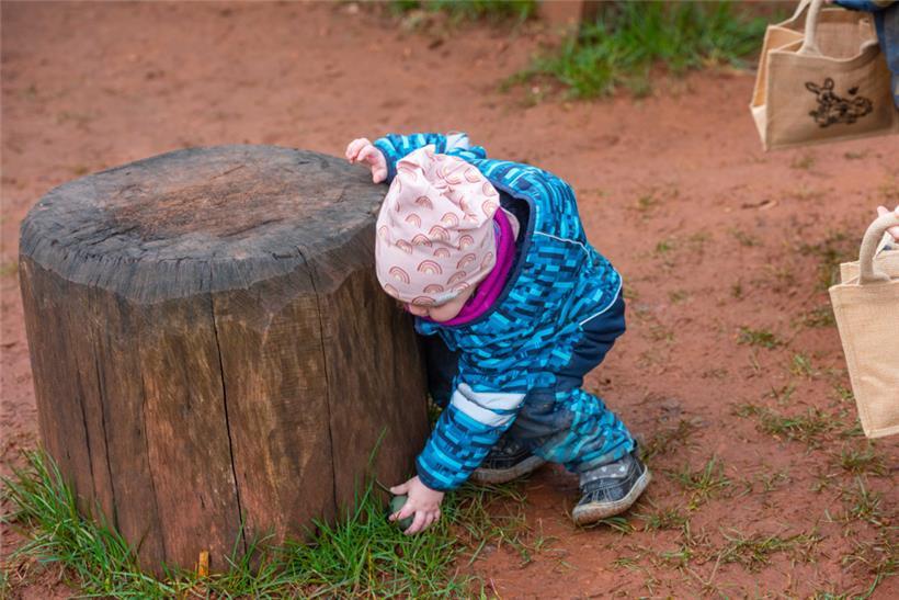 Der Osterhase hatte ganze Arbeit geleistet