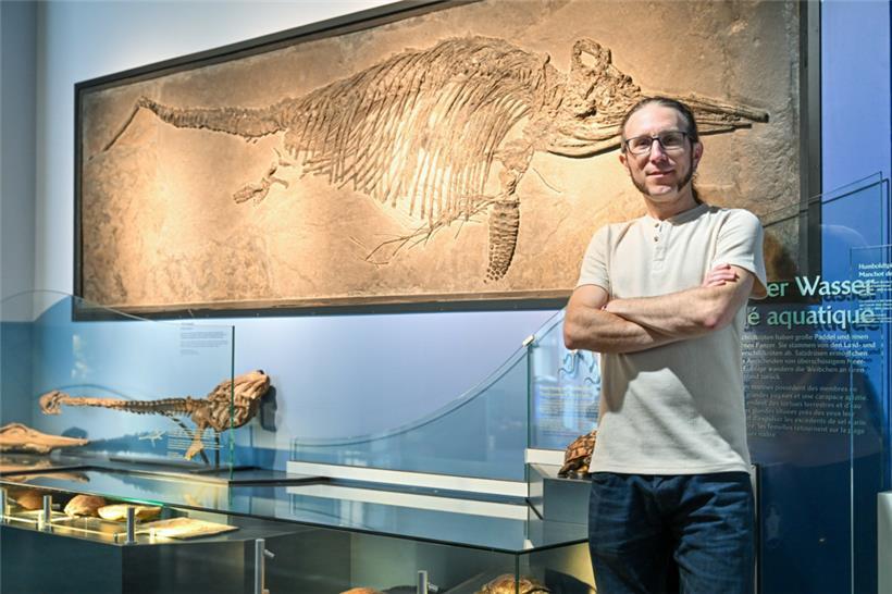 Der Paläontologe Dr. Ben Thuy vor dem Ichthyosaurier im Naturmuseum (MNHN)
