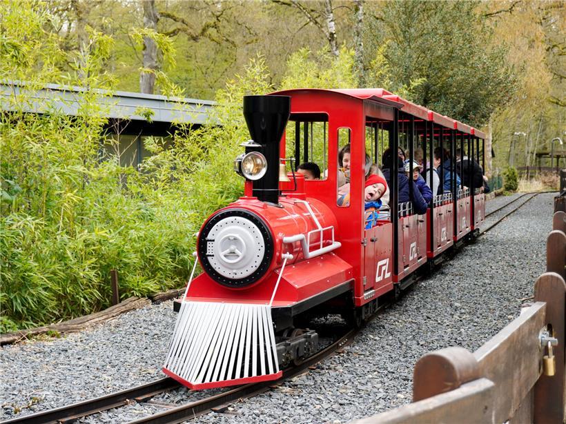 Familien genießen bunte Attraktionen im Parc Merveilleux Freizeitpark mit Spielplatz und Tiergehegen