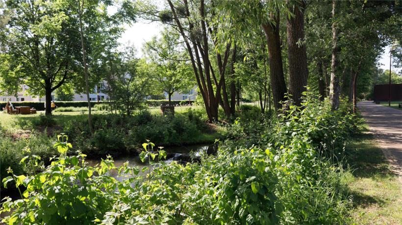 Der Park Hummerland in Tetingen: Alle Parteien machen sich für mehr Grünflächen stark
