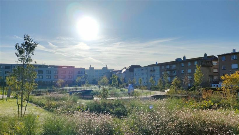 Der Park zwischen dem Wobrécken-Schulcampus und dem Elysis-Pflegeheim ist seit kurzem zugänglich
