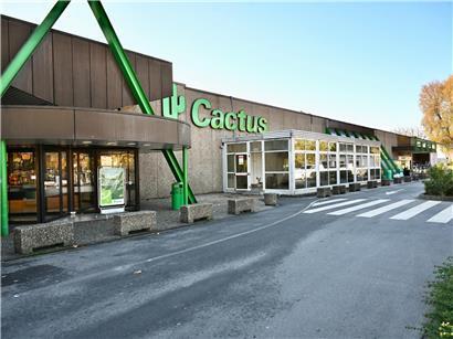 Parkplatz des ehemaligen Cactus-Supermarkts an der rue de Luxembourg in Esch/Alzette mit leeren Parkplätzen und Gebäude