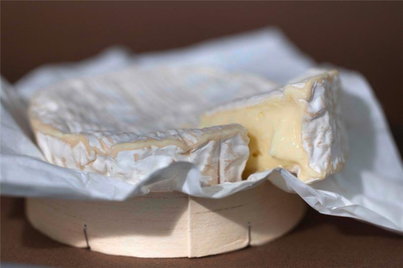 Der „Petit camembert au lait cru“ der Marke „Gillot“ mit dem Mindesthaltbarkeitsdatum vom 28. August 2025 könnte Kolibakterien (E. coli STEC) enthalten

