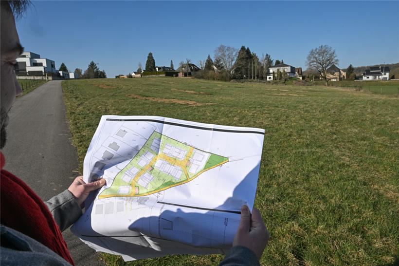 Der Plan für das Wohnungsbauprojekt: Vorne in Gelb eingezeichnet ist der Feldweg, der den Zugang zum Gelände garantiert 
