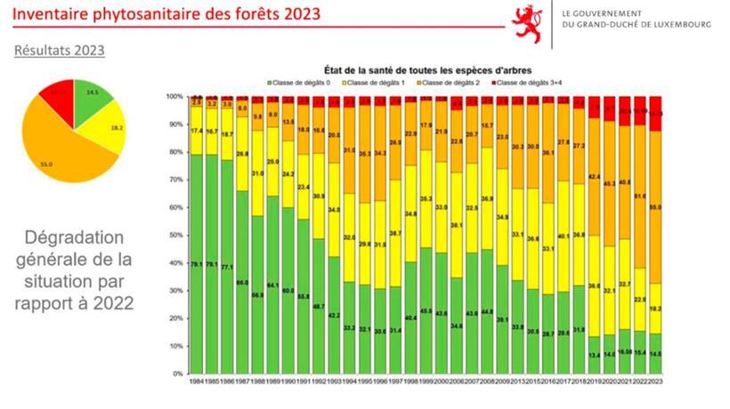 Der Prozentsatz der gesunden Bäume hat seit 1984 dramatisch abgenommen
