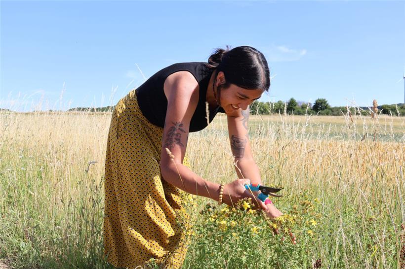 Der Respekt vor der Natur steht beim Sammeln an erster Stelle, deshalb sollte immer nur so viel genommen werden, dass die Pflanze weiterlebt
