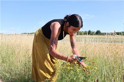 Der Respekt vor der Natur steht beim Sammeln an erster Stelle, deshalb sollte immer nur so viel genommen werden, dass die Pflanze weiterlebt
