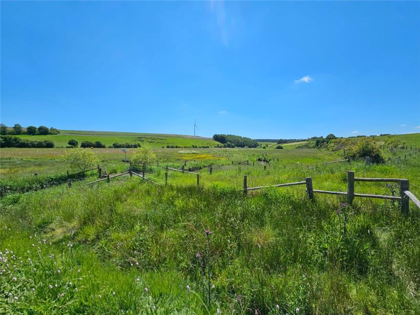 Der Rückgang der Arten der Feuchtgebiete und strukturreicher Landschaften bleibt erschreckend
