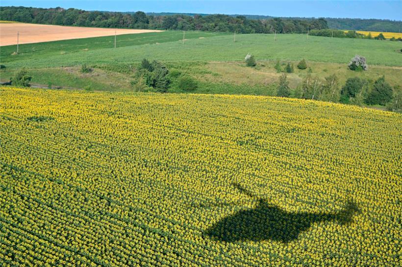 Der Schatten eines Hubschraubers über einem Sonnenblumenfeld nahe Kiew: Putin wird Geduld haben – wir auch?
