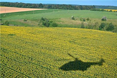 Der Schatten eines Hubschraubers über einem Sonnenblumenfeld nahe Kiew: Putin wird Geduld haben – wir auch?
