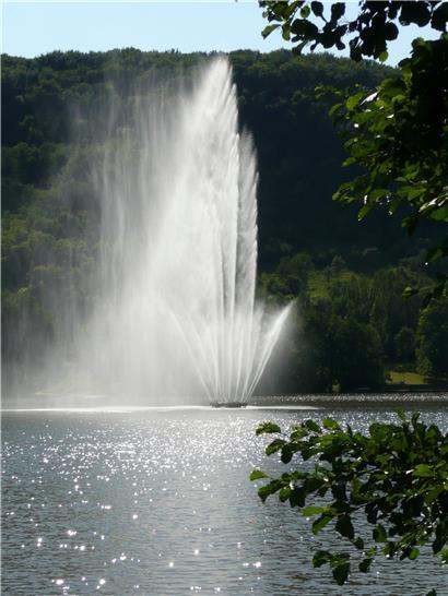 Der See wird Ende des Monats entschlammt
