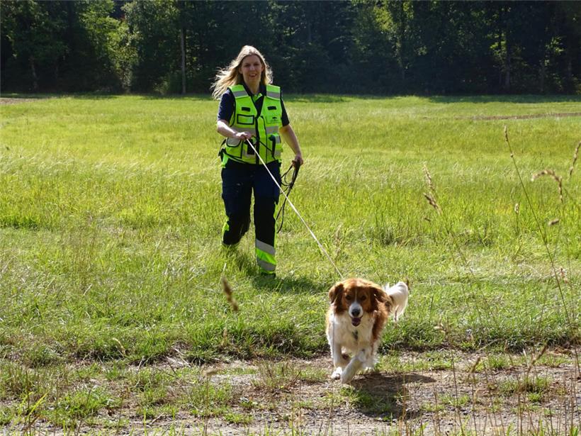 Der Spürhund von Jil hat nicht nur den Fotografen gewittert

