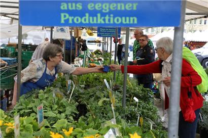 Der „Stater Maart“ ist zurück auf dem „Knuedler“
