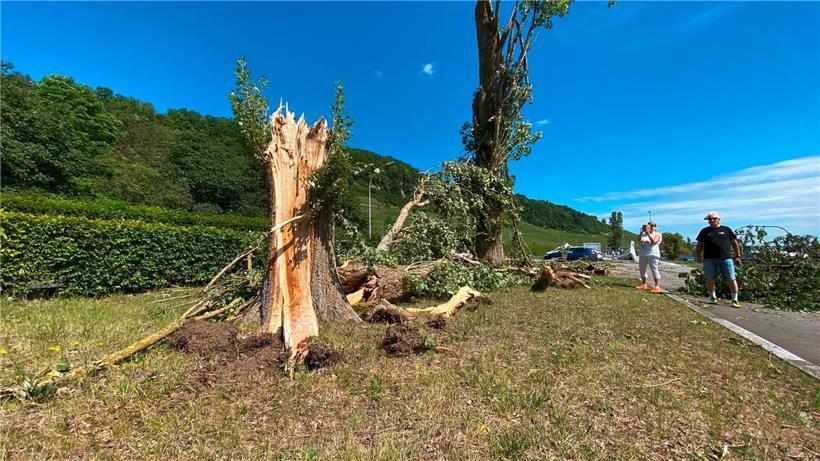 Der Sturm zerbrach die Bäume wie Zahnstocher …