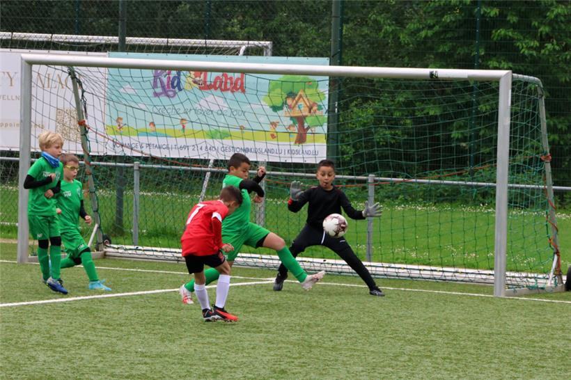 Der Torhüter hatte alles im Griff