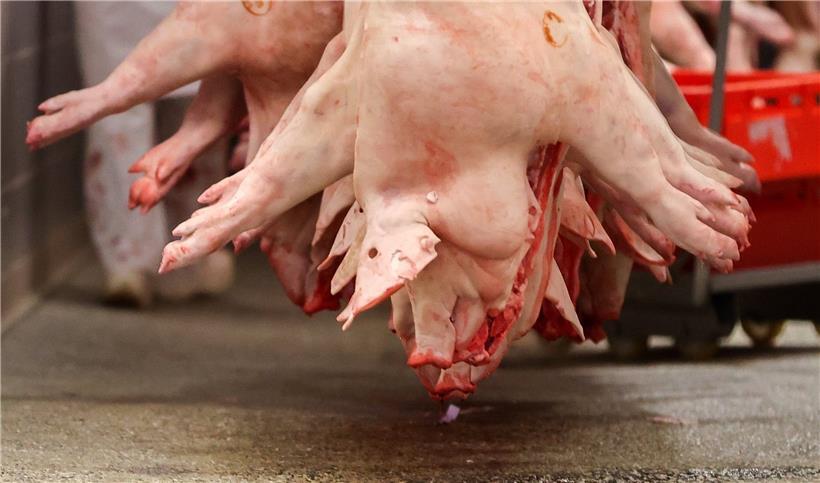 Der Verzicht auf Fleisch würde helfen, das Klima zu schützen, rechnet die Umweltschutzorganisation WWF vor
